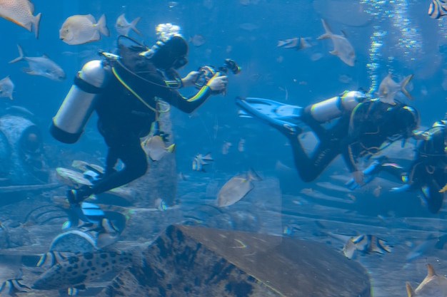 Fotógrafos submarinos en inmersiones. Buzos con cámara rodeados de una gran cantidad de peces en el enorme acuario. Atlantis, Sanya, Hainan, China.