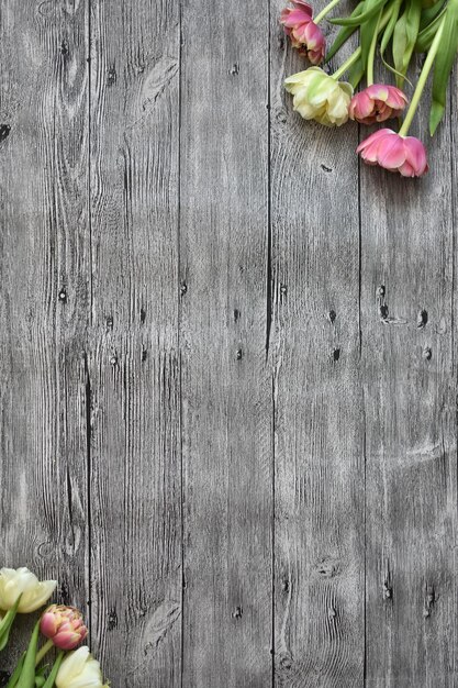 Fotohintergrund für eine Postkarte mit einem Dutzend Tulpen