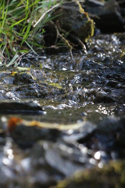 Fotoreise durch die Karpaten