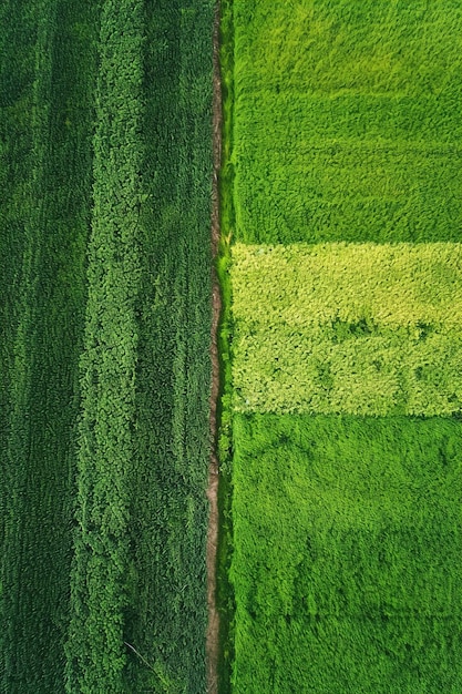 Fotos aéreas capturando a simetria dos campos agrícolas