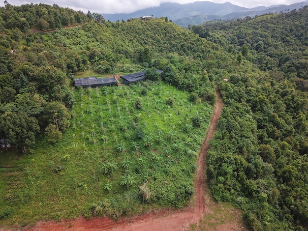 Fotos aéreas Un pequeño pueblo en la jungla en Chiang Mai