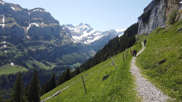 Fotos de los Alpes Suizos en Suiza