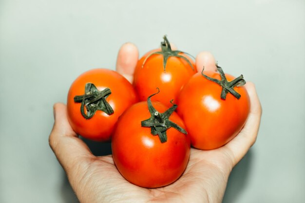 Foto fotos artísticas de tomates en la mano