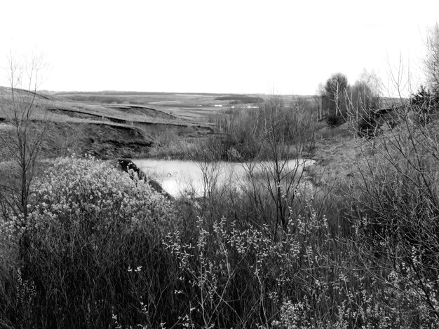 Fotos assustadoras de nuvens de campos e árvores