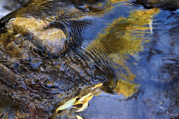 Fotos aus der Natur im Herbst Stream und gelbe Blätter