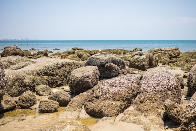 Foto fotos da bela praia de hua hin na tailândia