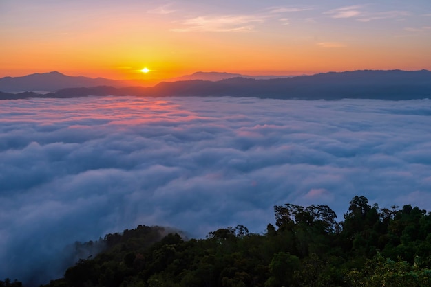 Fotos de paisagens de atrações na província de yala, sul da tailândia toda a via láctea bela névoa matinal, adequada para viajar.