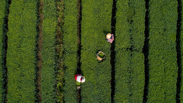 Foto fotos de paisagens naturais da bela cidade da china