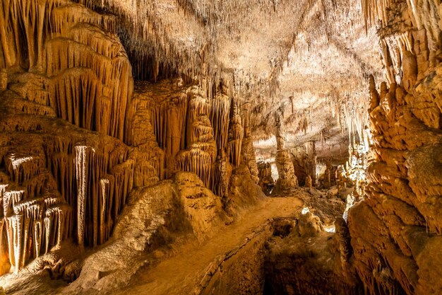 Foto fotos increíbles de las cuevas de drach en mallorca españa