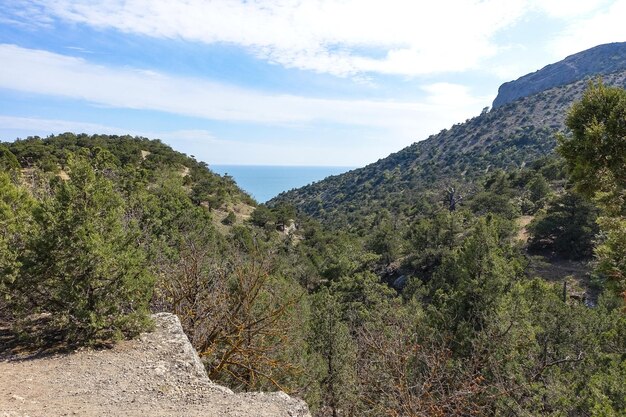 Fotos de la naturaleza en el sendero Golitsyn Paisajes del Mar Negro y las montañas de Crimea en la vegetación Crimea