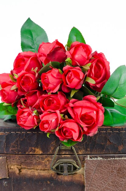 Fotos de rosas rojas para el día de San Valentín, aislado en blanco