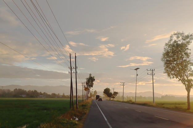 Fotos de las vistas de los campos de arroz a lo largo de la carretera