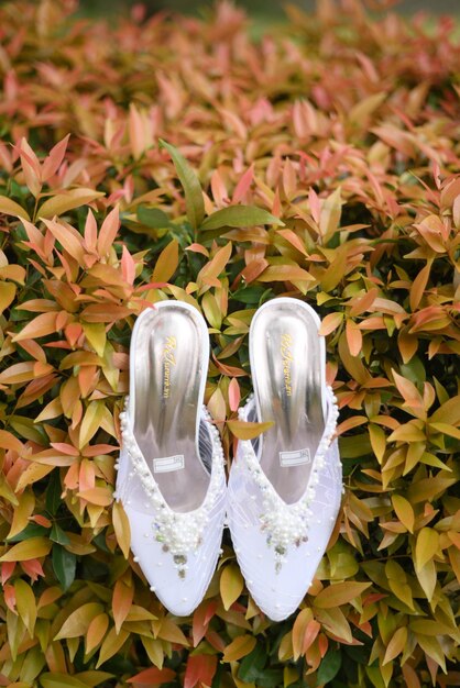 Foto fotos de zapatos de mujer boda asia