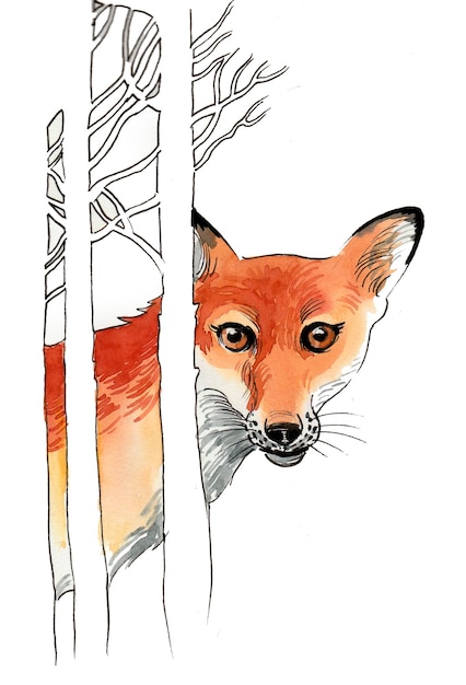 Fox sosteniendo en el bosque. Dibujo a tinta y acuarela