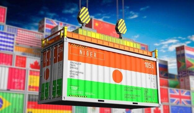 Frachtcontainer mit der Nationalflagge des Niger in 3D