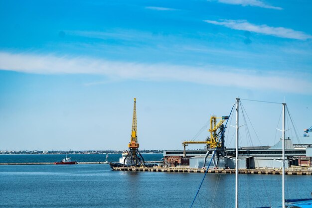 Frachtseehafen Seefrachtkräne Seelieferkonzept Selektiver Fokus