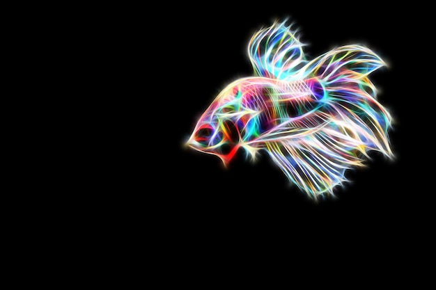 fractal iluminação peixe betta splendens