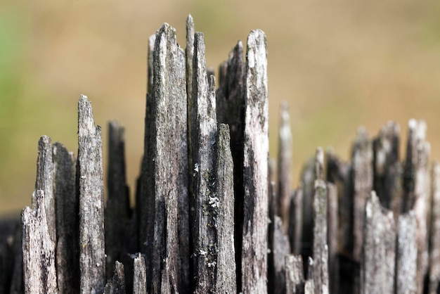 Fractura de madera vieja