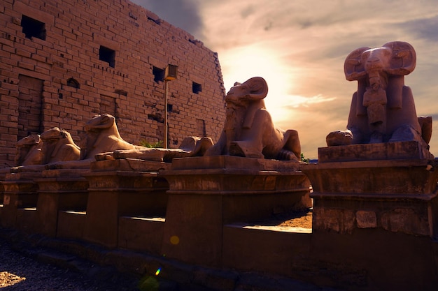 Fragment der Gasse der Sphinxe im Karnak-Tempel Luxor Ägypten