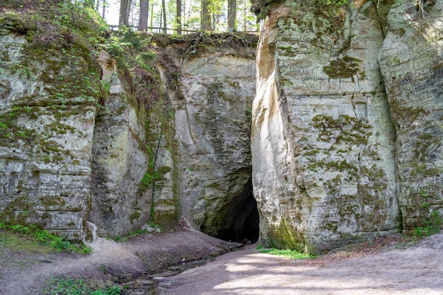 Fragment der Sandsteinklippe große Elita mit Höhle im Wald im sonnigen Tag schöner Frühling oder früh