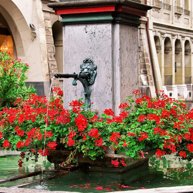 Fragment des Brunnens in der Kramgasse in Bern, Schweiz