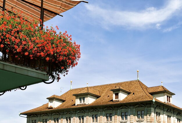 Fragment des Rathauses und Balkon mit Blumen in Zürich, Schweiz