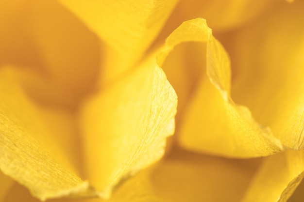 Fragment einer gelben Blume aus Krepppapier Makrofotografie