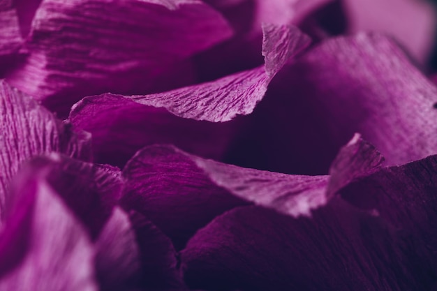 Fragment einer lila Blume aus Krepppapier Makrofotografie