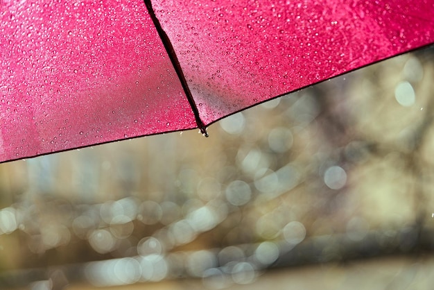 Fragment eines roten Regenschirms mit Regentropfen an einem sonnigen Sommertag