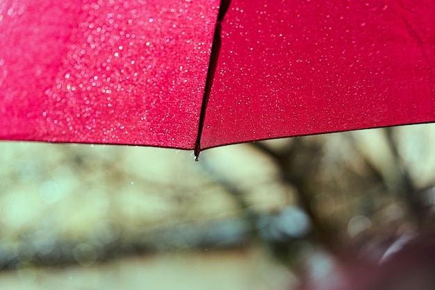 Fragmento de um guarda-chuva vermelho com gotas de chuva em um dia ensolarado de verão