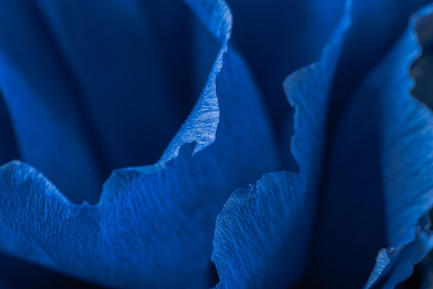 Fragmento de una flor azul hecha de papel crepé Fondo borroso