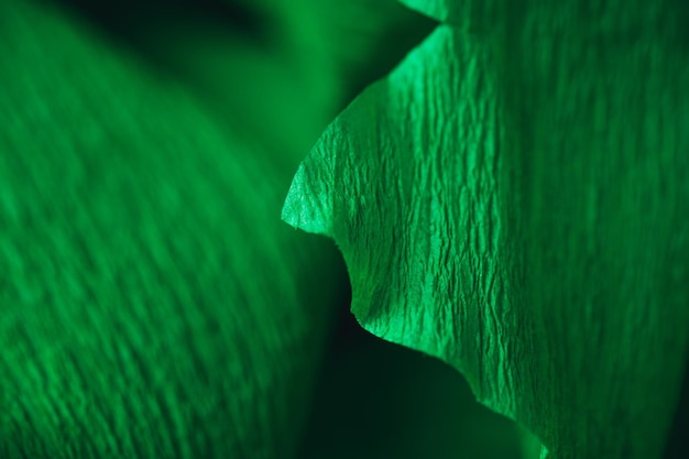 Fragmento de una fotografía macro de papel crepé verde