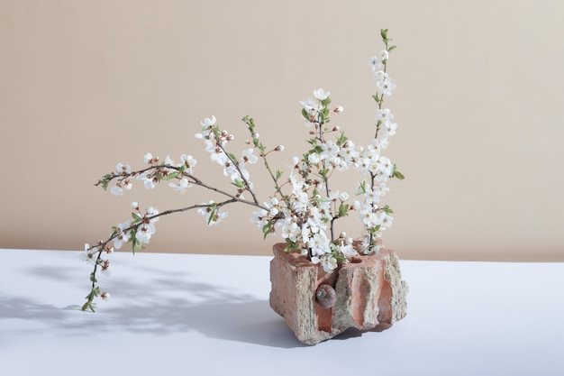 Un fragmento de un ladrillo con un caracol y ramas en flor: una naturaleza muerta creativa de verano o primavera con sombras duras