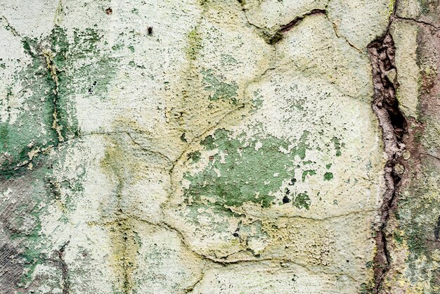 Fragmento de pared con arañazos y grietas