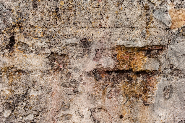 Fragmento de pared con rasguños y grietas.