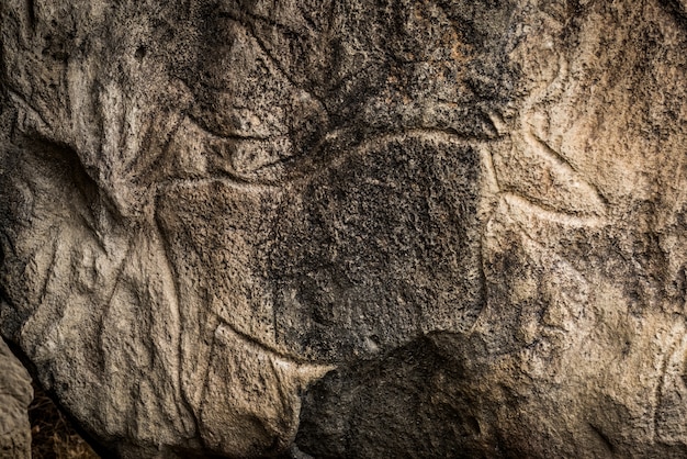 Fragmento de petroglifo en Gobustan,