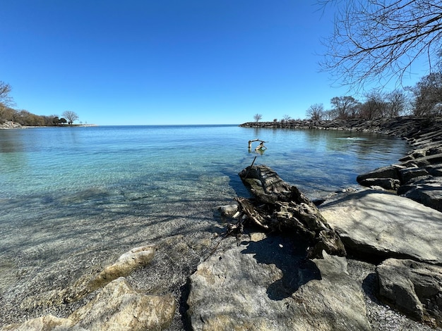 Foto fragmentos de árboles del agua paisaje marítimo con rocas agua de mar azul rocas bajo el agua