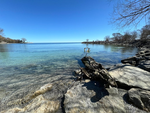 Fragmentos de árboles del agua Paisaje marítimo con rocas Agua de mar azul Rocas bajo el agua