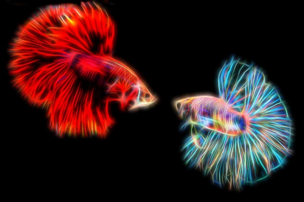 fraktale abstrakte Neon-Betta-Fische