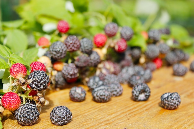 framboesa preta com frutas e folhas sobre o fundo claro de madeira