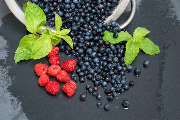 Framboesas frescas, mirtilos, folhas de hortelã com gotas de água