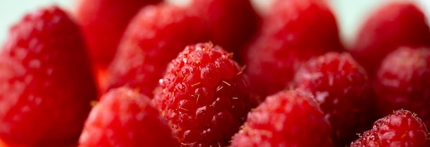 Frambuesa. Frambuesas. Fondo berry.Fresh berrys.Raspberry con gotas.Raspberry macro shot.Red