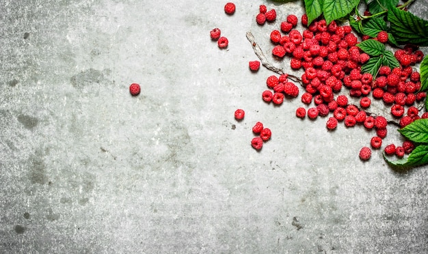 Frambuesa roja con hojas. Sobre una mesa de piedra.