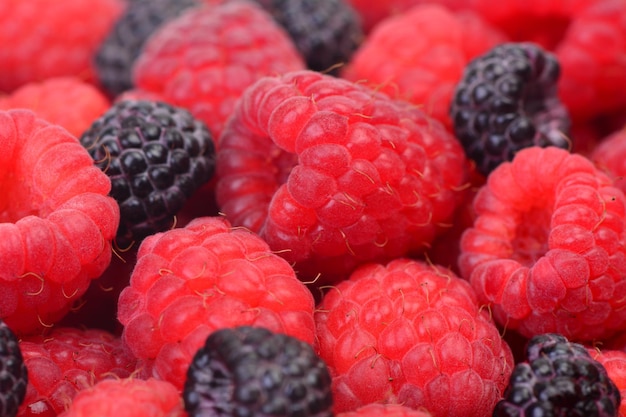 Frambuesa roja y negra