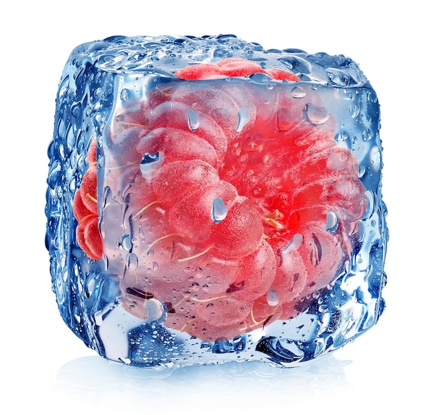 Frambuesa rosa en hielo aislado en blanco