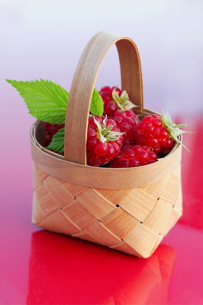 Frambuesas en una cesta pequeña cosecha de bayas silvestres vitaminas y beneficios para la salud