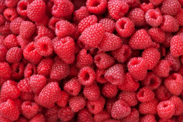 Foto frambuesas orgánicas frescas con hojas de menta. fondo de fruta con espacio de copia. verano y bayas concepto de cosecha. vegetariana, vegetariana, cruda.