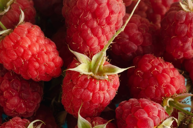 Frambuesas rojas en grupo Fruta natural Fotografía macro