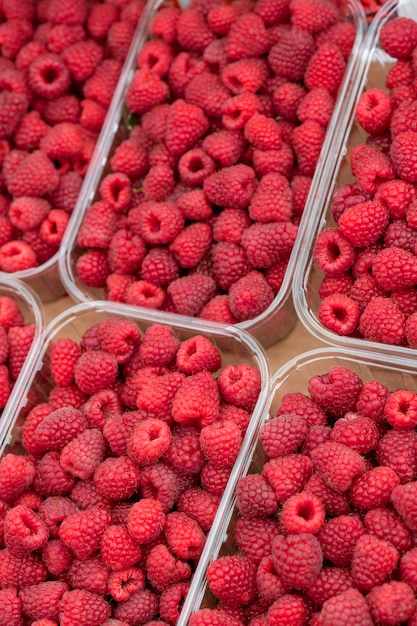 Frambuesas rojas, maduras, frescas en envases de plástico.