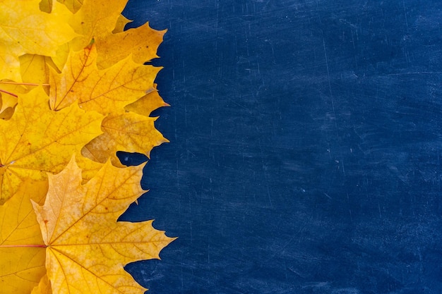 Foto frame de folhas de outono em fundo azul vista superior fronteira de outono folhas amarelas e laranjas vintage